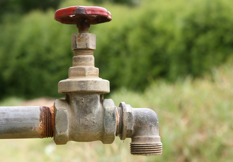 valve, wood - material, wet, tap, spray, field, seep, faucet, fall, drip, Connector, environment, natural, hose, close-up, h20, tree, green color, grass
