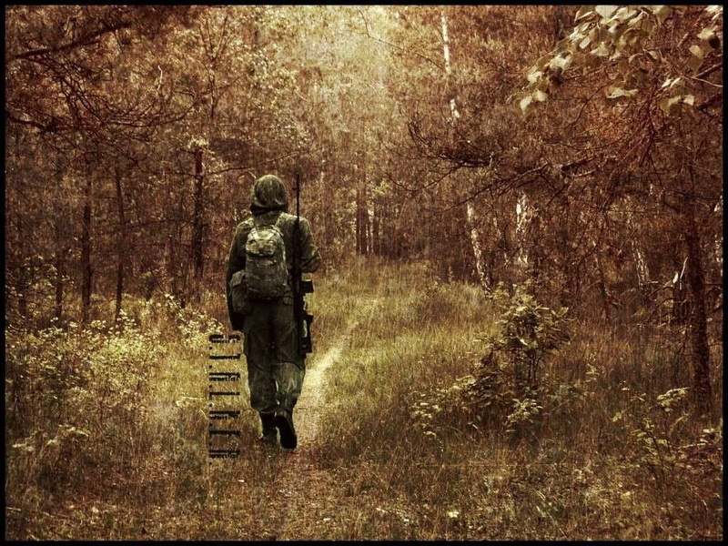 growth, camouflage, plant, uniform, men, rear view, clothing, outdoors, gray, tree, forest, outfit, s, day, real people, full length, military, leisure activity