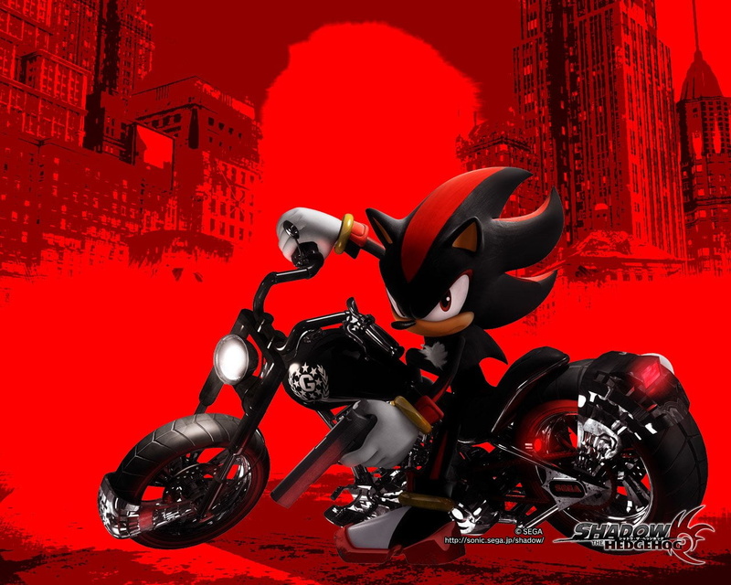 no people, mode of transportation, large group of objects, black color, Shadow the Hedgehog, event, close-up, Sonic, representation, transportation, indoors