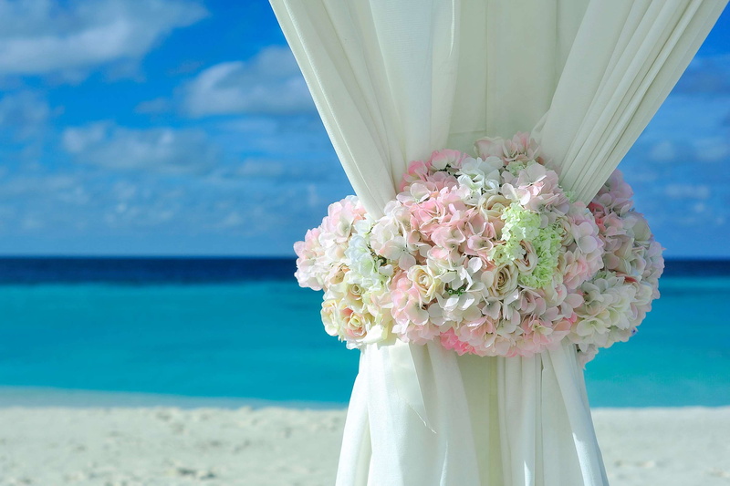 freshness, tropical, flowers, wedding setup, flower head, horizon over water, no people, wedding, water, flower arrangement, sea, land, outdoors, ocean