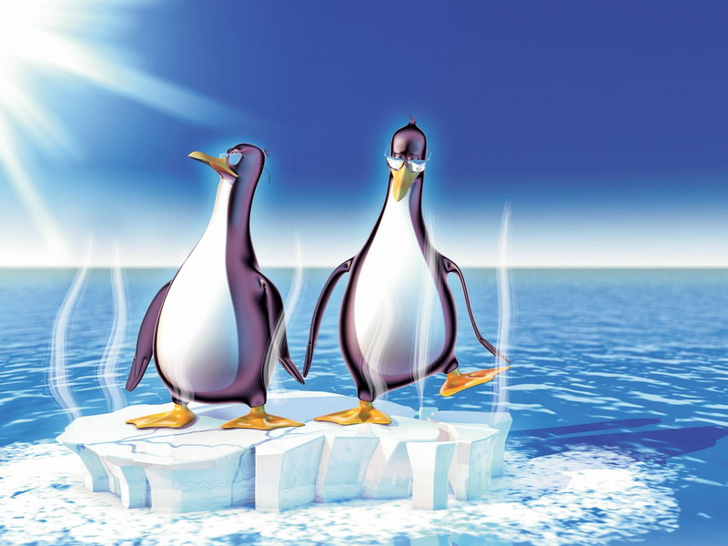 nature, two, sunlight, 720P, celebration, no people, sea, beauty in nature, penguins, wealth, horizon, togetherness, event, penguin, Funny, day, elegance