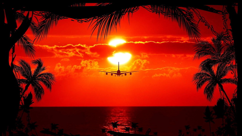 orange color, firework, sunset, palm tree, sea, event, sky, illuminated, nature, beauty in nature, no people, plant, beach, silhouette, red tropical sunset