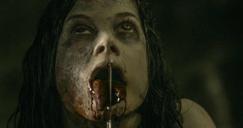 beard, front view, mouth open, halloween, Movie, one person, adult, human face, social issues, fear, Evil Dead (2013), hairstyle, real people, portrait