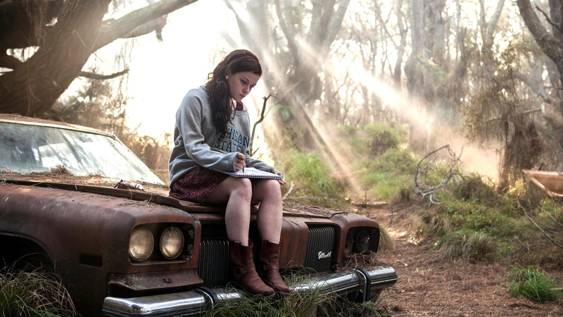 leisure activity, casual clothing, Evil Dead (2013), motor vehicle, car, teenager, nature, day, lifestyles, mode of transportation, adult, full length