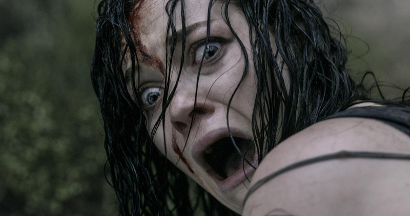 1080P, Movie, Evil Dead, Evil Dead (2013)