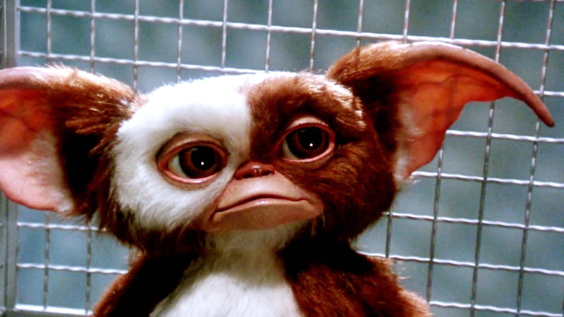comedy, monster, creature, horror, alien, gremlins, 1080P