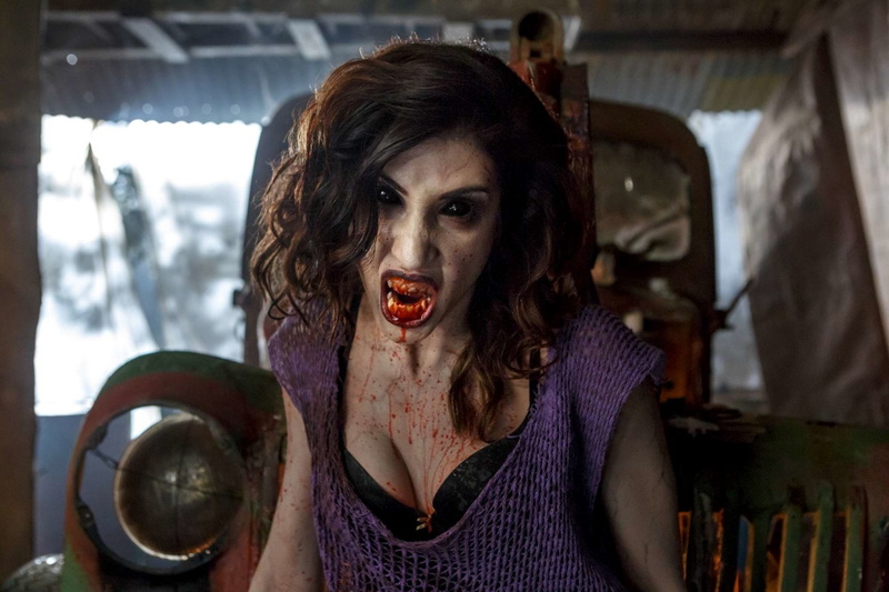 1080P, TV Show, Ash vs. Evil Dead, Ash vs Evil Dead, Dana DeLorenzo