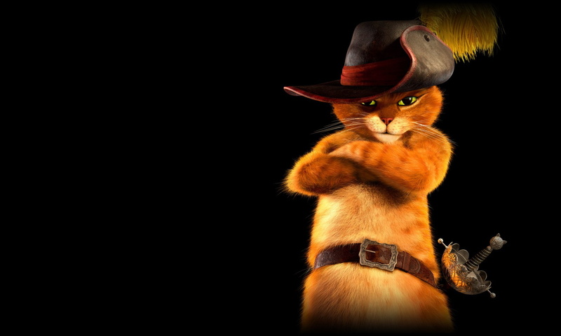 Puss In Boots, Cat, Movie, 1080P, Hat