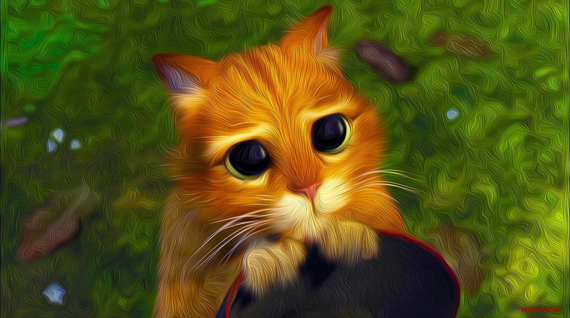 animal eye, no people, close-up, softness, vertebrate, animal body part, backgrounds, pattern, animal wildlife, orange color, animal themes, Shrek, pets