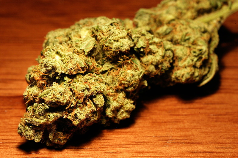 animals, hd, art, 720P, bugs, bug, marijuana, x