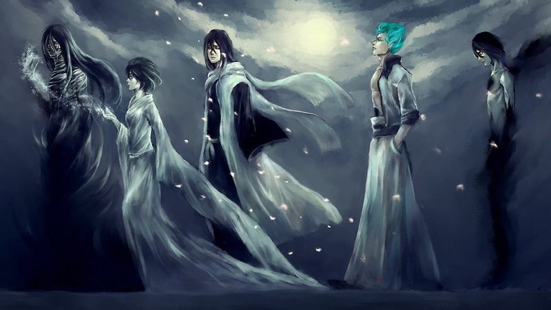 anime, girl, dark, characters, women, males, series, men, manga, bleach, 1080P