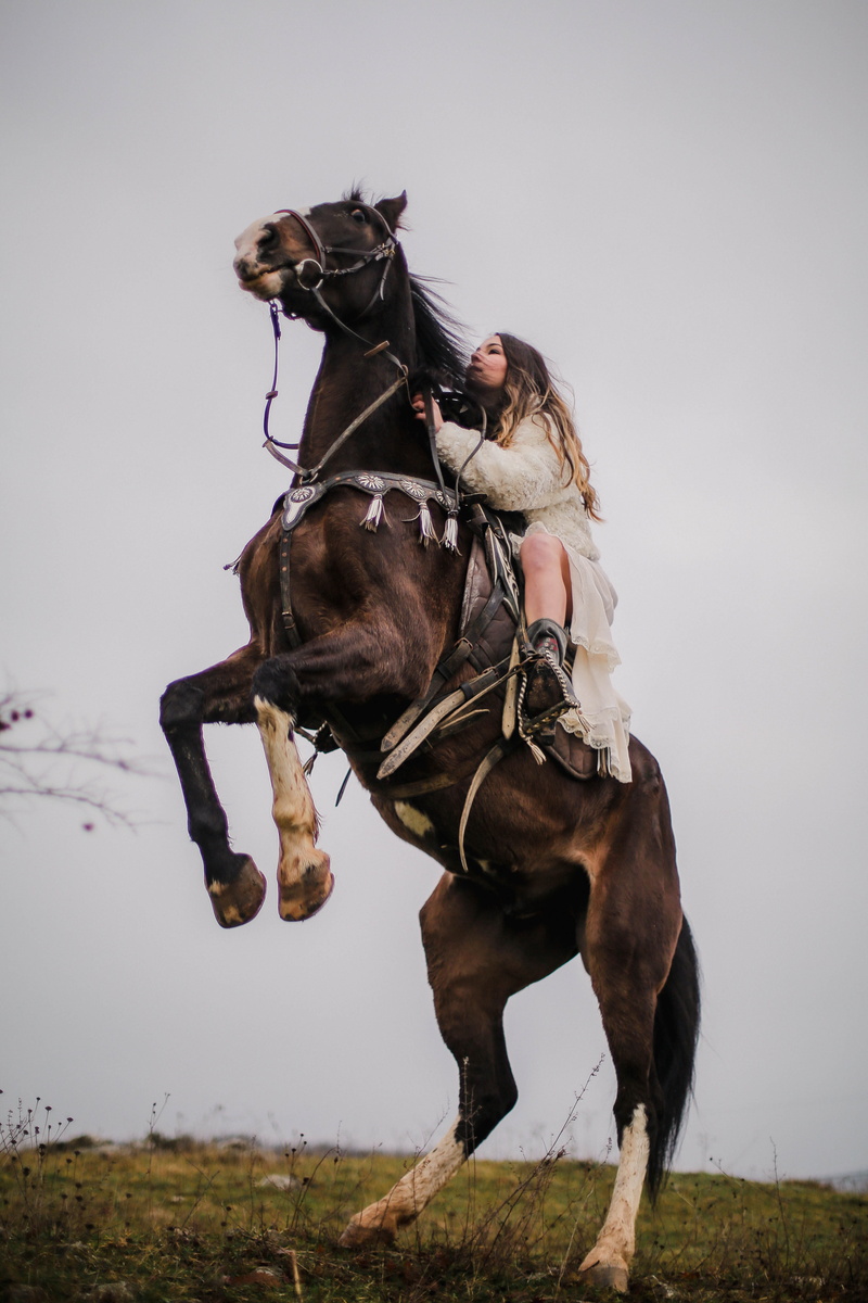 scared, ride, field, l, mammal, animal themes, working animal, rear up, sky, g, riding, kurtaran, 5K, nature, herbivorous, horse, outdoors, animal, pets
