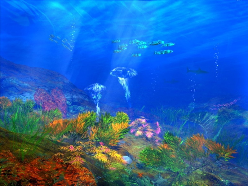 ocean, coral, abstract, fish, sea, 480P, hd