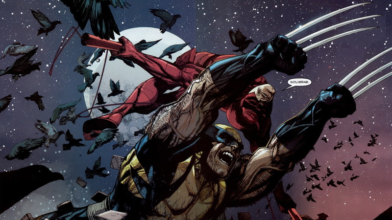 wolverine, comics, art, marvel, animals, artwork, daredevil, BIRDS, 2K, hd, x