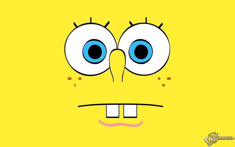 Spongebob Squarepants, squarepants, TV Show, 1080P, spongbob