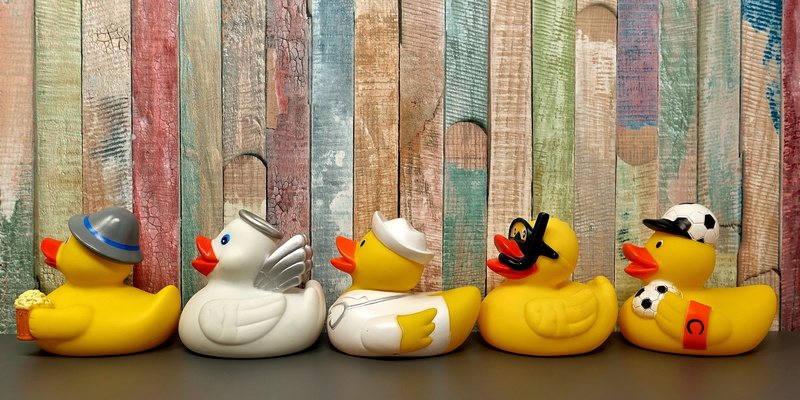 ducks, still life, multi colored, in a row, fun bathing, representation, food, yellow, medium group of objects, indoors, animal representation, arrangement