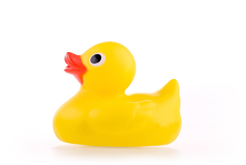 single object, yellow, poultry, bath, duck, 4K, ducky, white background, animal, animal representation, bird, cut out, rubber, fun, duckling, finance