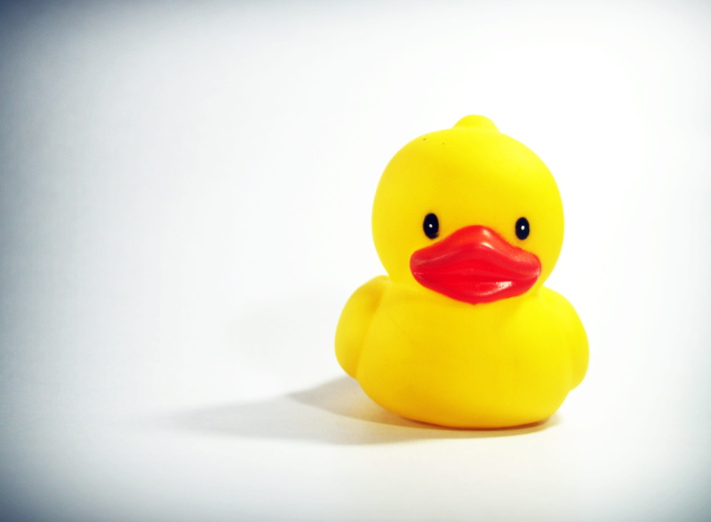 small, childhood, smiling, toy, grow, confection, rubber duck, animal representation, summer, no people, young, duckling, duck, kids, representation, easter