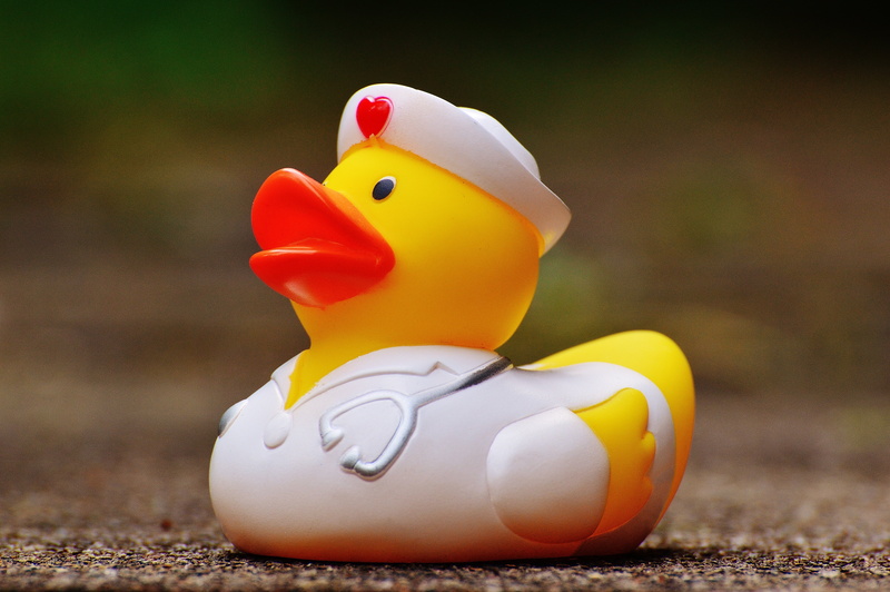 yellow, swim, toy, nature, no people, poultry, close-up, duck, 5K, representation, rubber duck, animal, figure, focus on foreground, sweet, funny summer