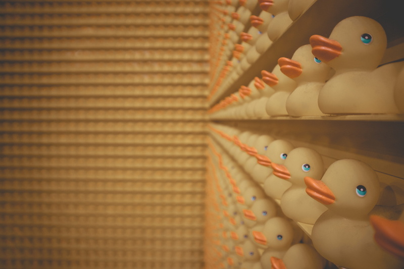 ducks, many, duck, still life, indoors, conceptual, stuffed toy, room, doll, close-up, 5K, figurine, art and craft, in a row, craft, rubber ducks, pattern