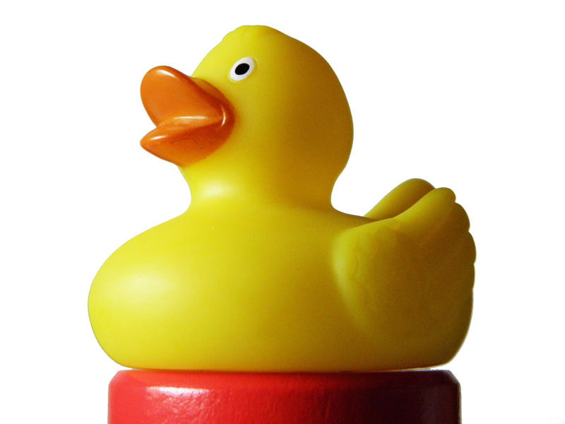 single object, no people, poultry, toy, surface, green color, representation, yellow, animal, 4K, still life, Rubber Duckies, bath duck, studio shot, man made