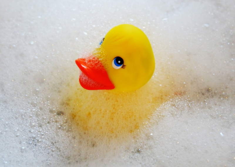 duck, child, water, red, bill, swim, play, wet, animal themes, nature, rubber duck, bath accessories, bathtub, bath, duckling, in the water, toy, 4K, animal