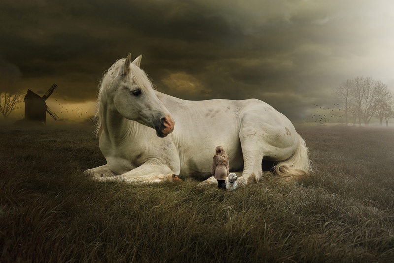 equine, land, clouds, animal family, nature, people, pets, white horse, sunset, no people, cloud - sky, mammal, dusk, field, silhouette, dog, golden doodle
