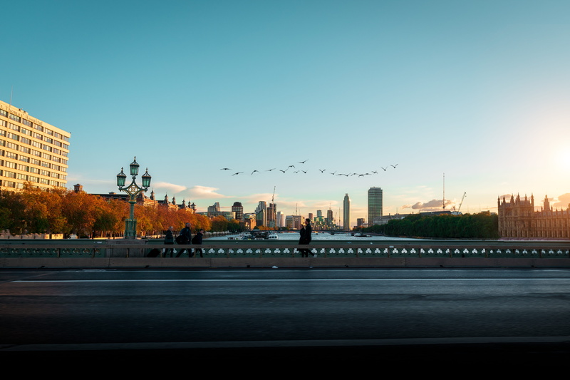 bird, building exterior, skyscraper, road, travel, building, buildings, cityscape, travel destinations, sunset, water, tower, dusk, bridge, tree