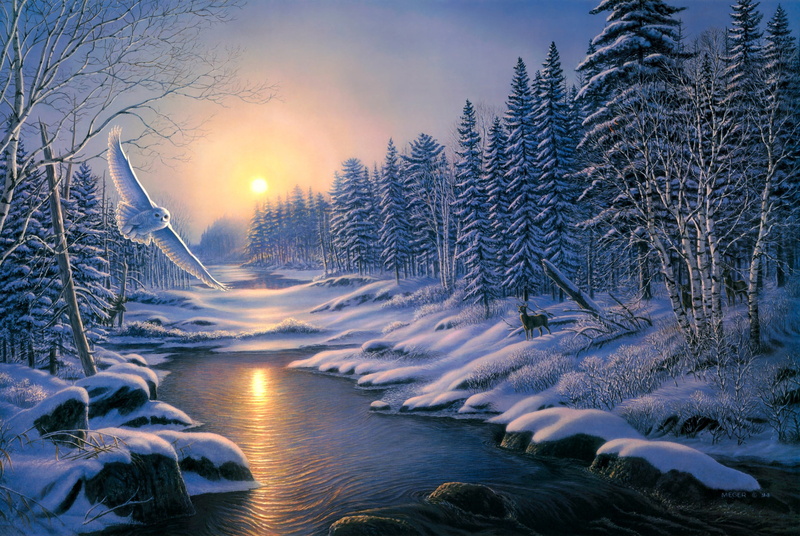 body, animals, branch, no People, scenics, landscape, ate, beauty In Nature, forest, vacations, night, tranquil Scene, sunset, tranquility, sky, ice, blue