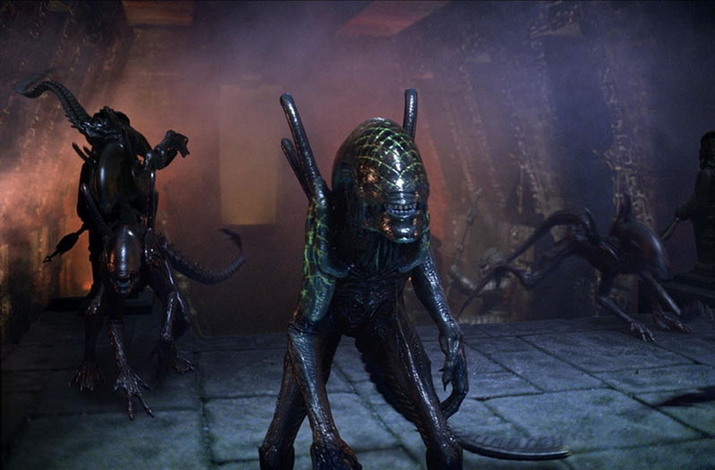 Predator, AVP: Alien vs. Predator, 720P