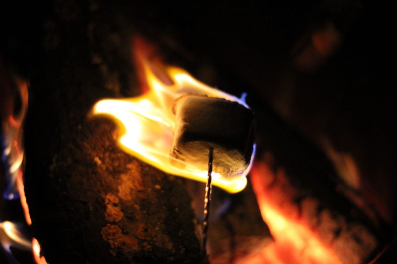 fuel and power generation, motion, close-up, camp, firewood, 5K, event, red, burning, yellow, mitchell bowser, environment, no people, night, wood - material
