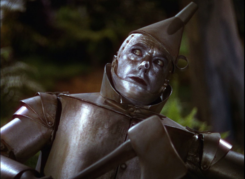 film, wizard of oz, adventure, family, fantasy, 720P, o z, wizard, movie