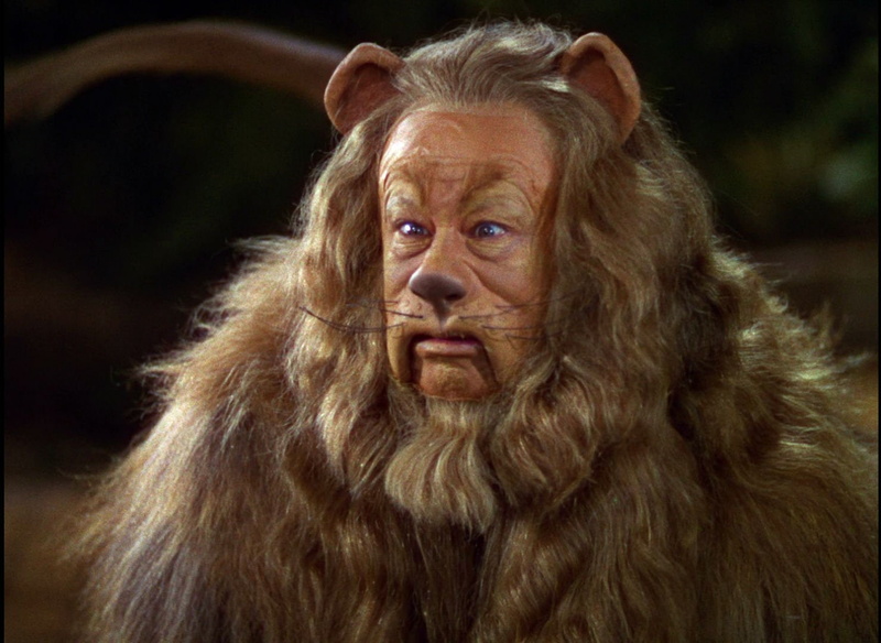 o z, fantasy, movie, wizard, family, wizard of oz, adventure, 720P, film