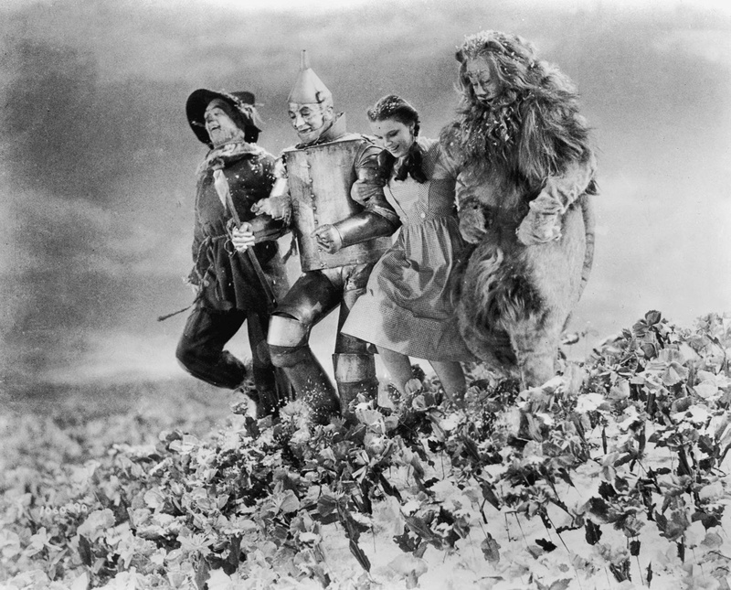 family, movie, adventure, wizard of oz, wizard, 720P, film, o z, fantasy