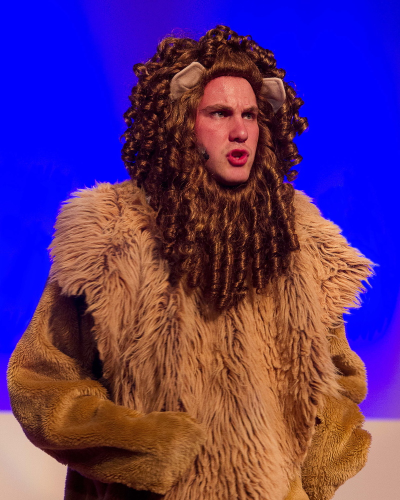 costume, courage, make-up, one Person, road, elegance, man, adult, winter, caucasian Ethnicity, blue, good, warm clothing, hairstyle, waist up, 2K, yellow brick road