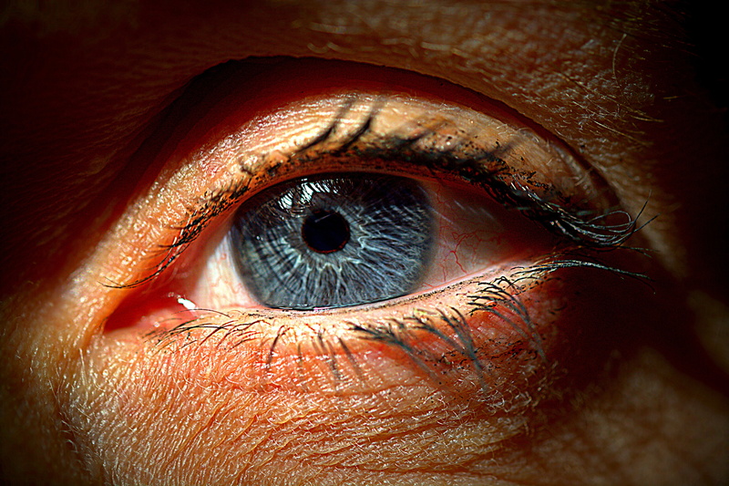 eye, eyeball, close, view, eyelashes, eyesight, sensory perception, eyebrow, left, one person, blue, human eye, macro, men, one man only, portrait, eyelid