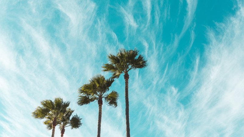 clouds, sky, bottom view, 1080P, Mexico, Baja California, trees