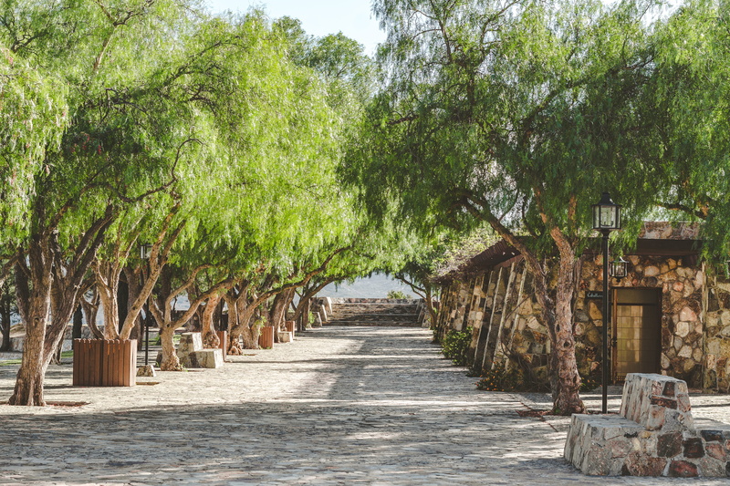built structure, no people, direction, trees, baja california, architecture, tree stump, mexico, arbour, planting, day, tree, oak, green color, plant, sunlight