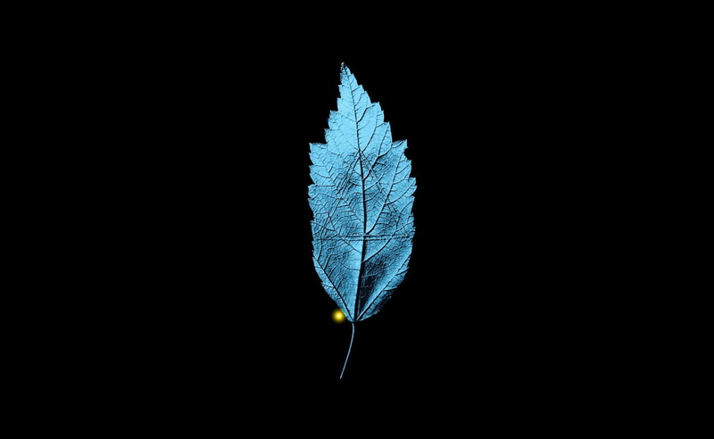 blue, copy space, studio shot, indoors, softness, no people, Movies, close-up, quill, tv, Embedded, Other Movies, triangle, beauty in nature