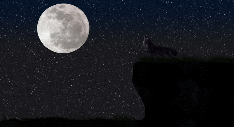 sky, full moon, scenics - nature, Artistic, animal themes, full, wild, night, space, animal wildlife, planetary moon, no people, beauty in nature