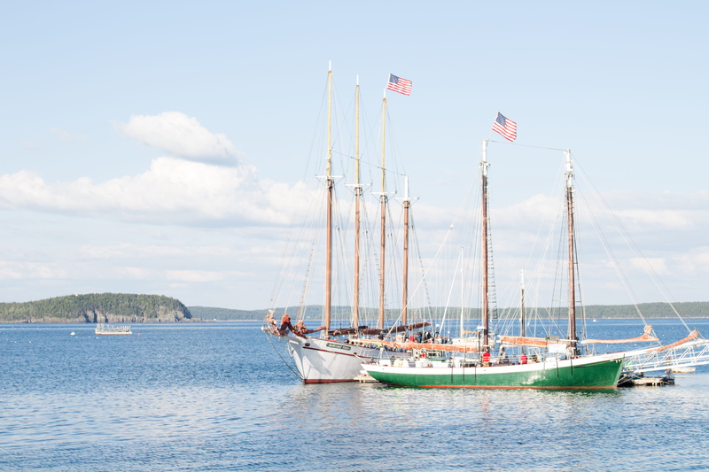 green, boats, sky, day, cloud - sky, bar harbor, no people, transportation, marina, vessel, white, sailboat, nature, united states, boat, patriotism, port