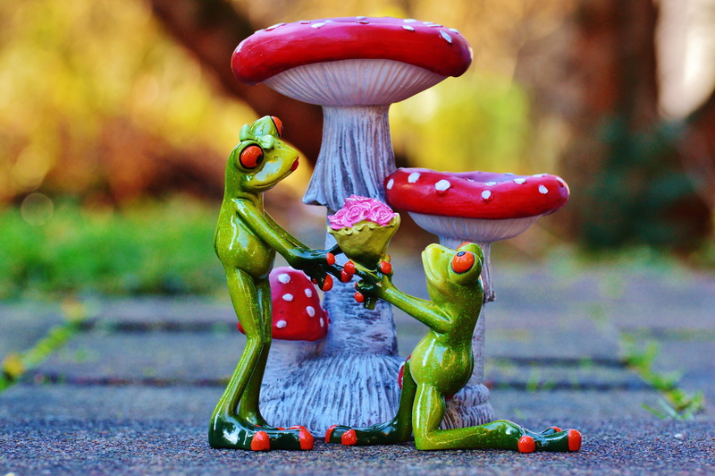 representation, focus on foreground, pair, Heart, mushroom, figurine, forest, craft, 5K, still life, frogs, cute, red, pose, fun, deco, nature, art and craft