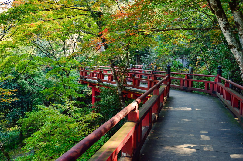 k, water, bridge, canal, photo, views of japan, no people, 4K, bridge - man made structure, plant, connection, tourist destination, railing, tree, the way forward