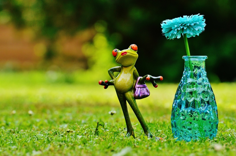 flowering plant, sweet, garden, cute, beauty in nature, figure, nature, creativity, selective focus, day, growth, focus on foreground, frogs, green color
