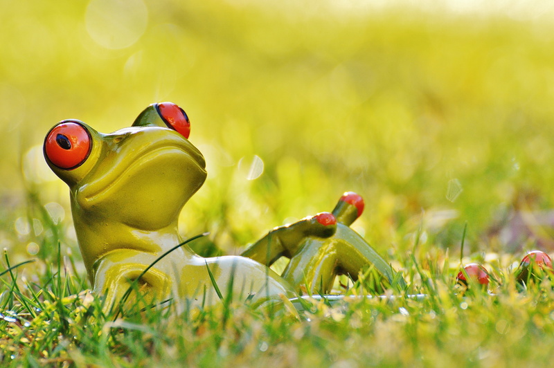 animal representation, fun, animal, no people, toy, close-up, decoration, 4K, beauty in nature, outdoors, small, relaxed, flowering plant, flower, uncultivated