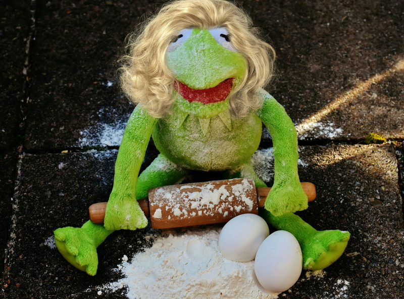 soft toy, day, one person, celebration, creativity, fun, no people, frog, funny, toy, child, directly above, childhood, 2K, one boy only, art and craft