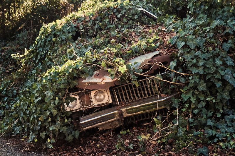 run-down, deterioration, leave, green color, leaf, break up, land, pkw, old car, broken, spotlight, wreck, rusty, damaged, day, straßenkreuzer, front, outdoors