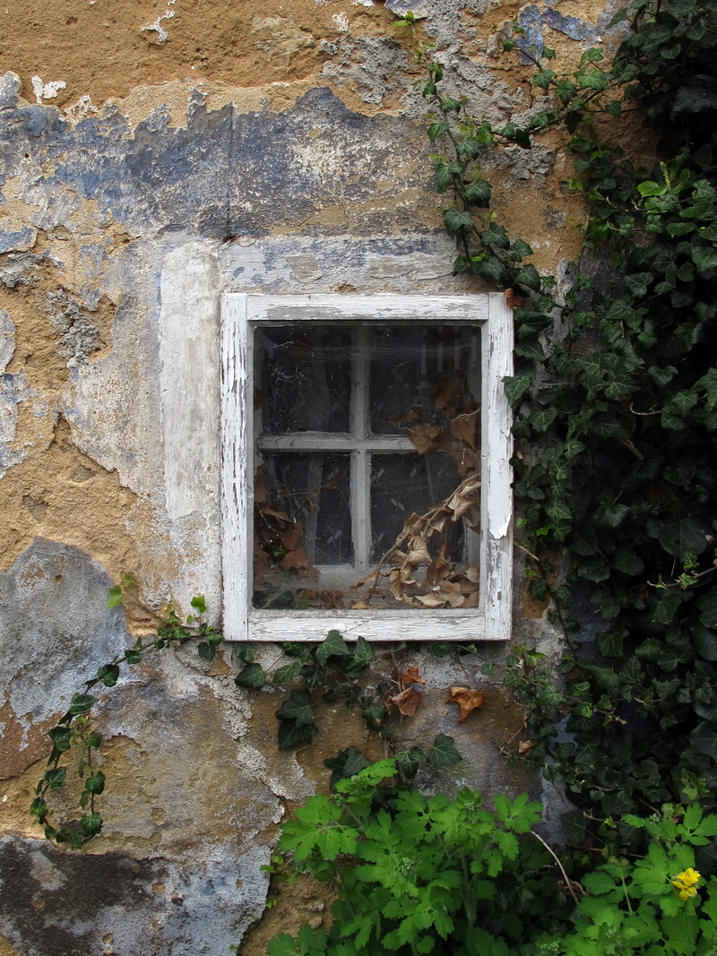 building, defect, building exterior, window frames, built structure, 2K, pforphoto, run down, weathered, old, house, ivy, plant, old window, stone wall