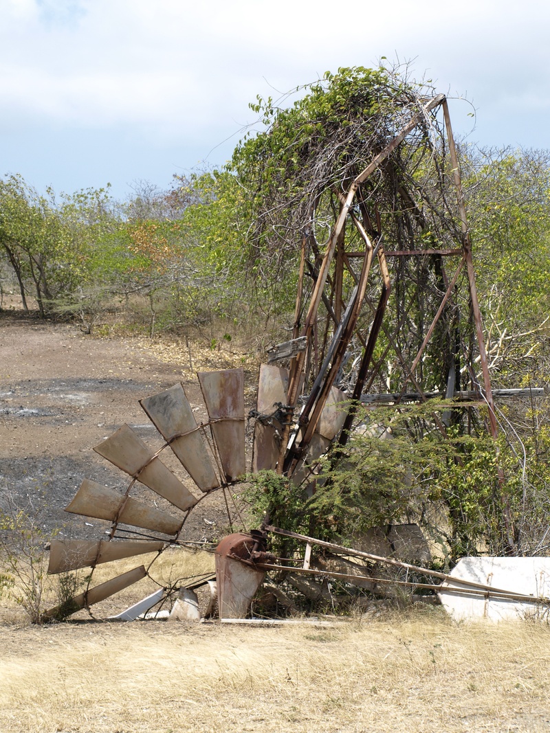 windräder, ruin, decline, broken, bad condition, windmill, mill, plant, windmills, damaged, pinwheel, overturned, wheel, corrosion, watermill, outdoors