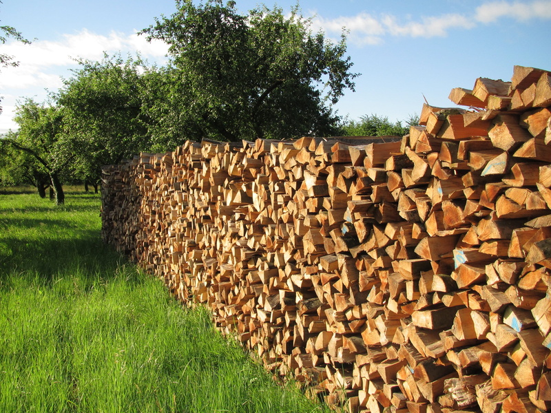 stock, combs thread cutting, plant, material, firing, stacked up, timber, layer, land, nature, background, daytime, photo, energy, grass, lumber industry